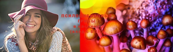 прущая мука Армянск
