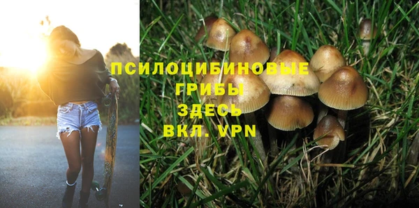 прущая мука Армянск