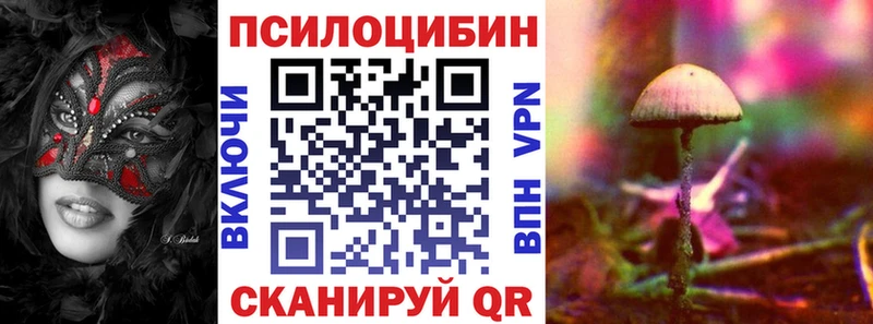 Купить где  Белая Калитва  Псилоцибиновые грибы Psilocybine cubensis 
