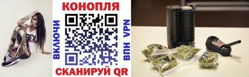 Купить где  Белая Калитва  Марихуана сатива 